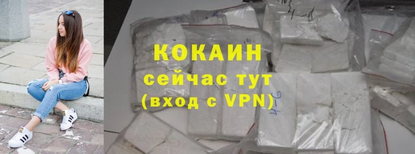 сатива Осинники