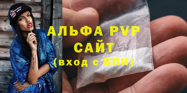 сатива Осинники