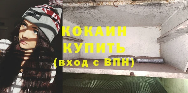 молекула духа Осташков