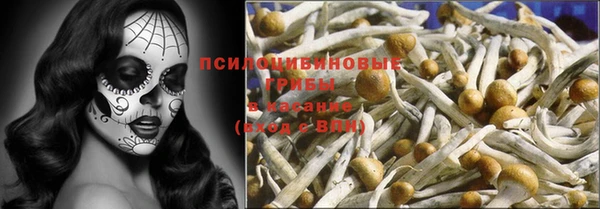 молекула духа Осташков