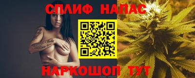 герыч Моздок