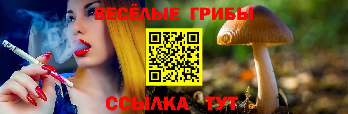 Галлюциногенные грибы прущие грибы  Вход с VPN  Корсаков 